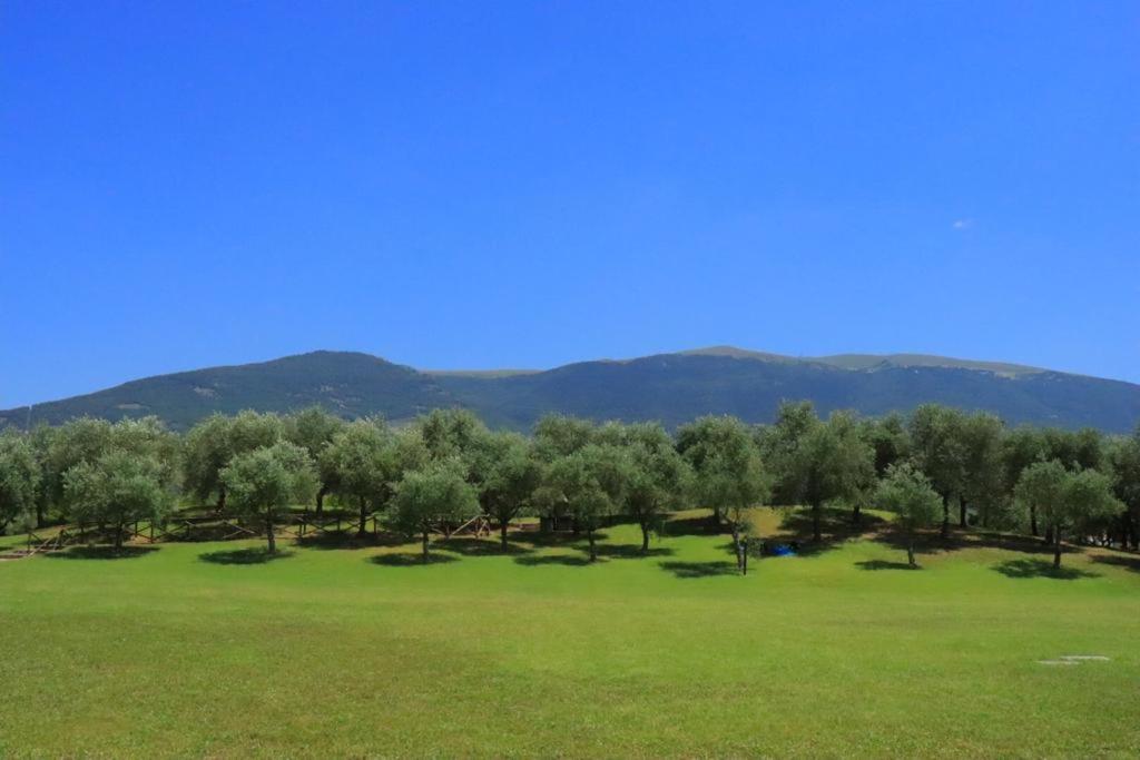 Il Casale Di Monica Casa de Campo