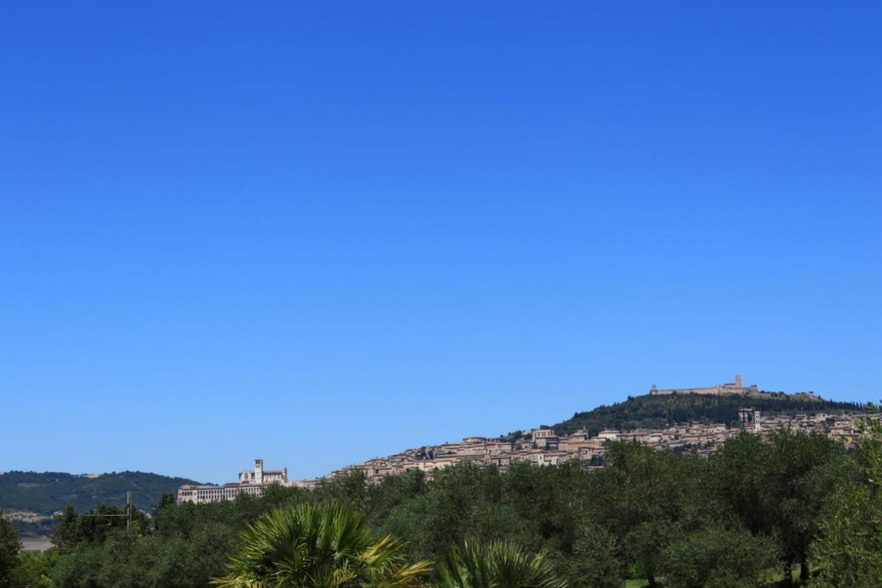 Il Casale Di Monica *